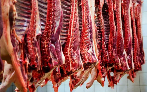 تصویر 5 از قیمت راسته گوسفندی با کیفیت ارزان + خرید عمده